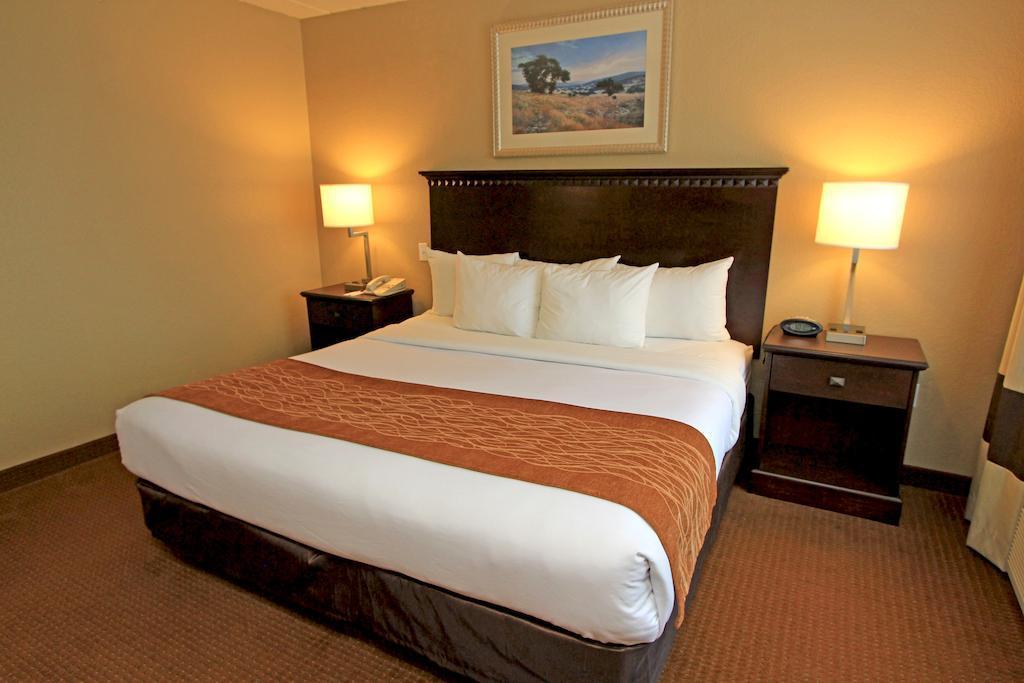 Comfort Suites Austin Airport Esterno foto